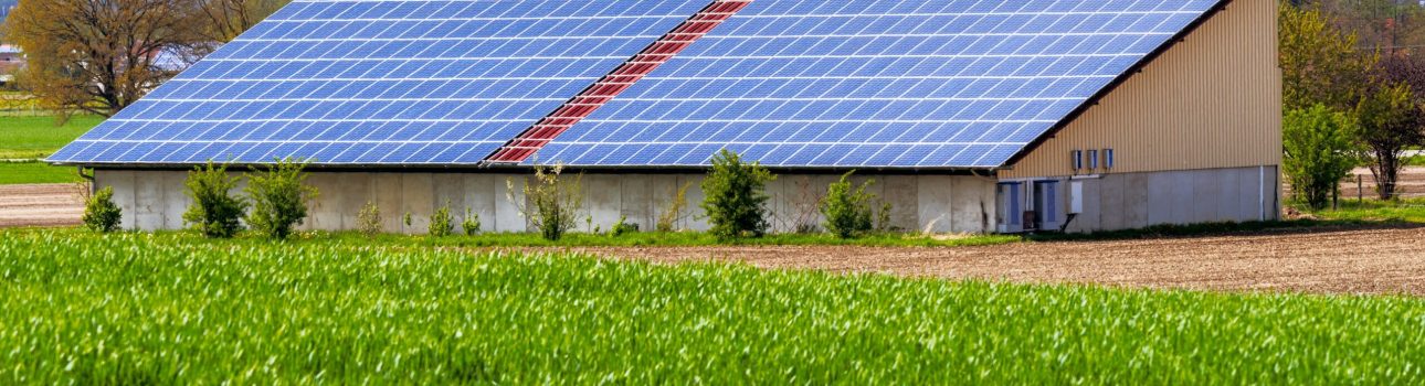 green-energy-with-solar-collectors-2025-01-08-23-19-58-utc-min